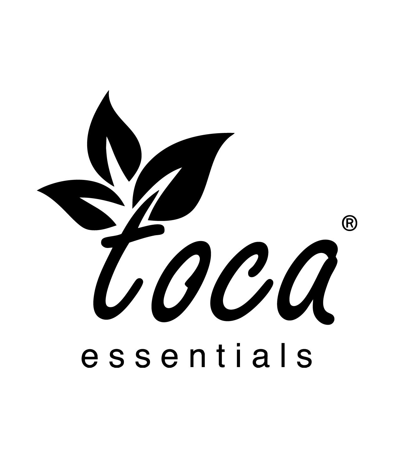 Toca full logo